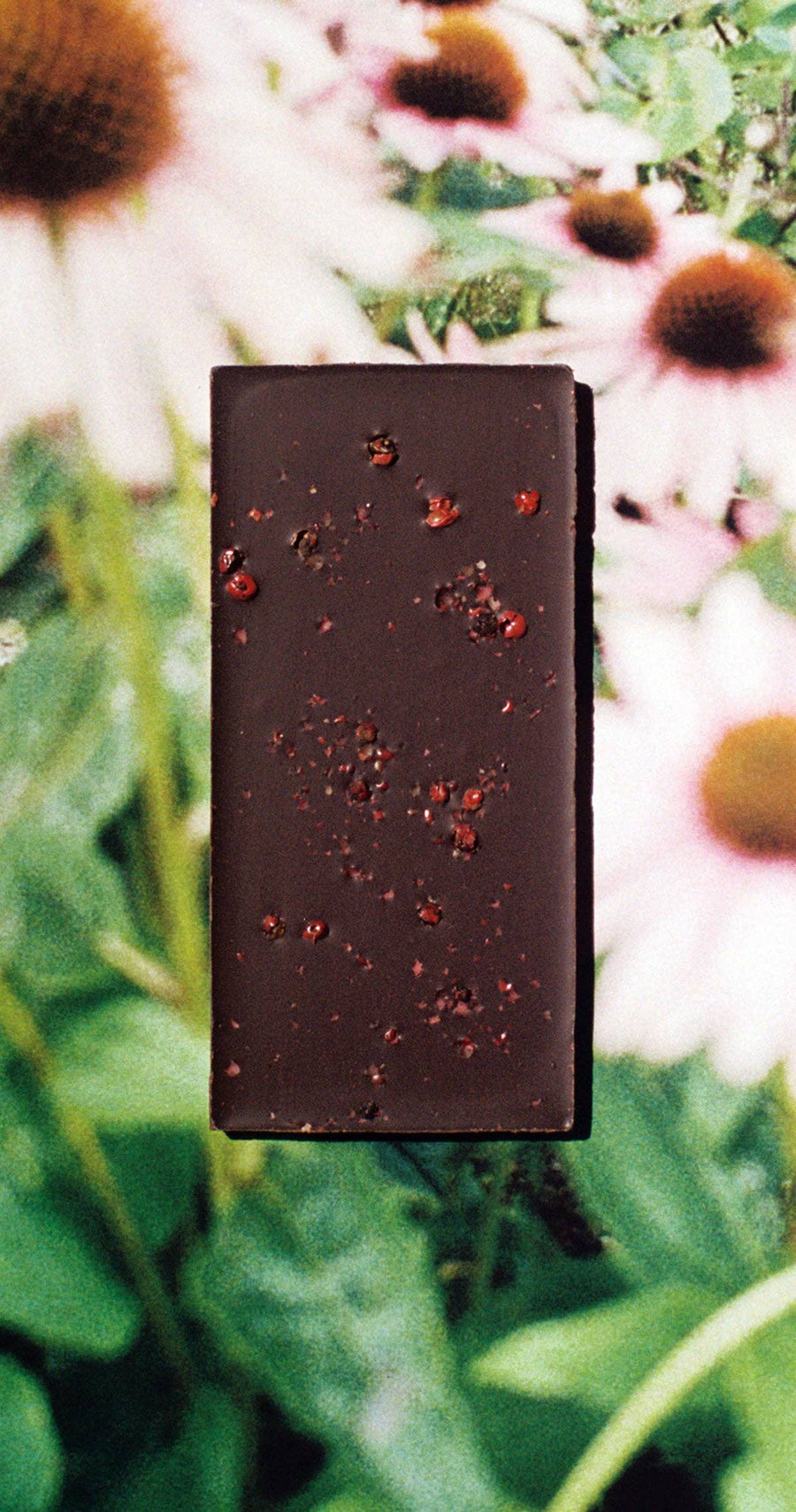 Casa Bosques 'Pink Peppercorn' Dark Chocolate