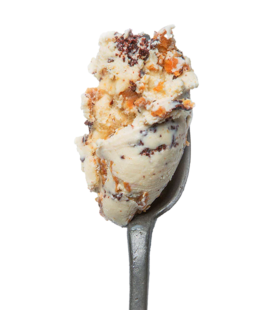 McConnell's Fine Ice Creams Double Peanut Butter Chip