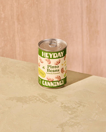 Perfectly Seasoned Pinto Beans