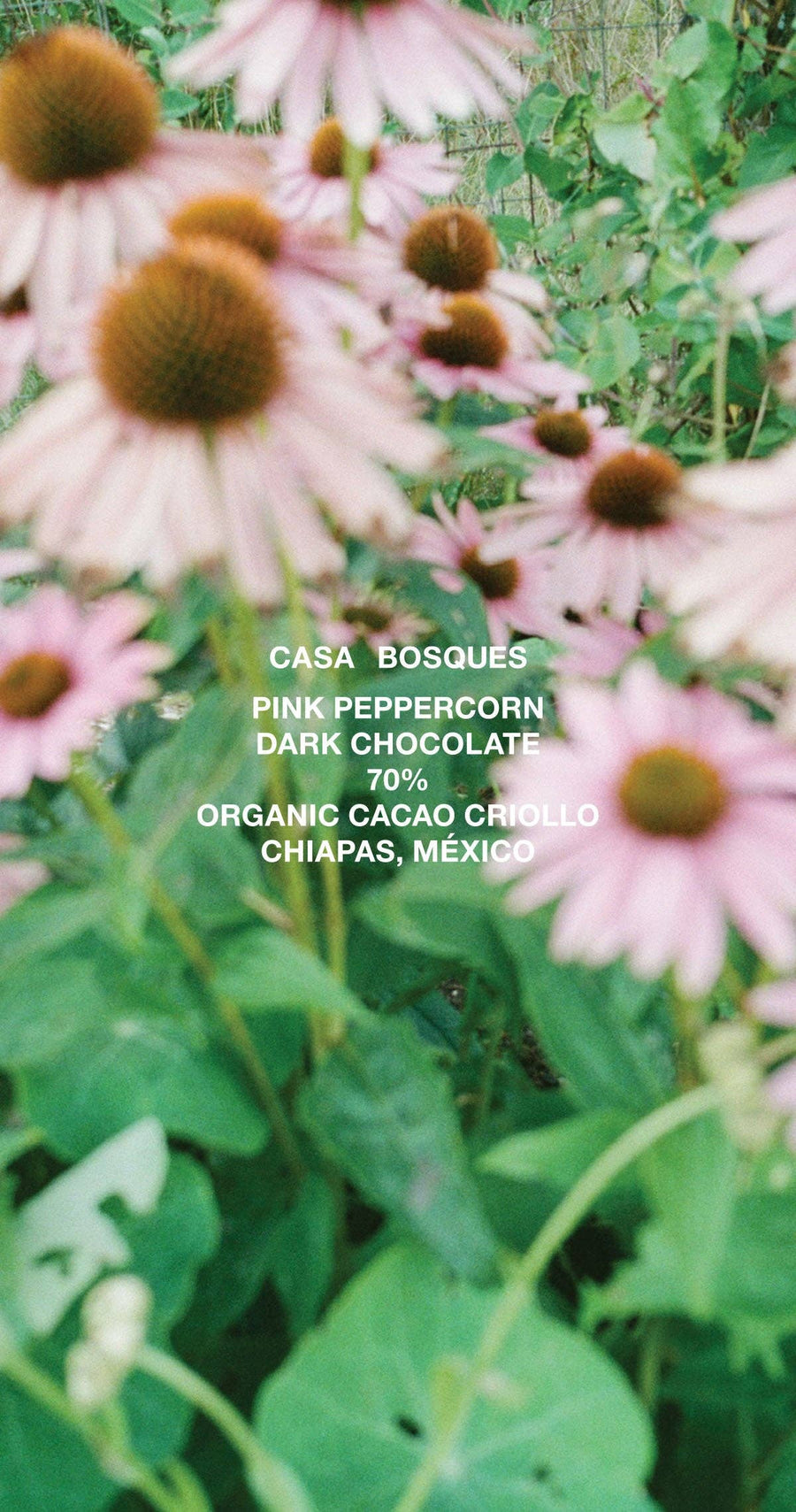 Casa Bosques 'Pink Peppercorn' Dark Chocolate