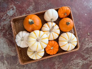 Mini Harvest Pumpkins