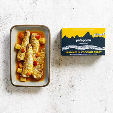 Patagonia Provisions Sardines In Coconut Curry