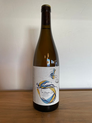 2021 Francois Saint-Lo 'Les Pouches Maceration' Chenin Blanc
