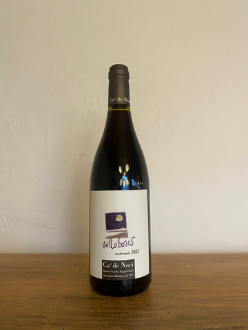 2023 Ca' de Noci 'Sottobosco' Lambrusco