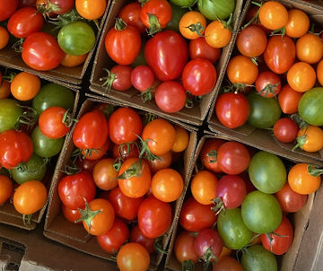 Seven Moons Farm Cherry Tomatoes (Pint)