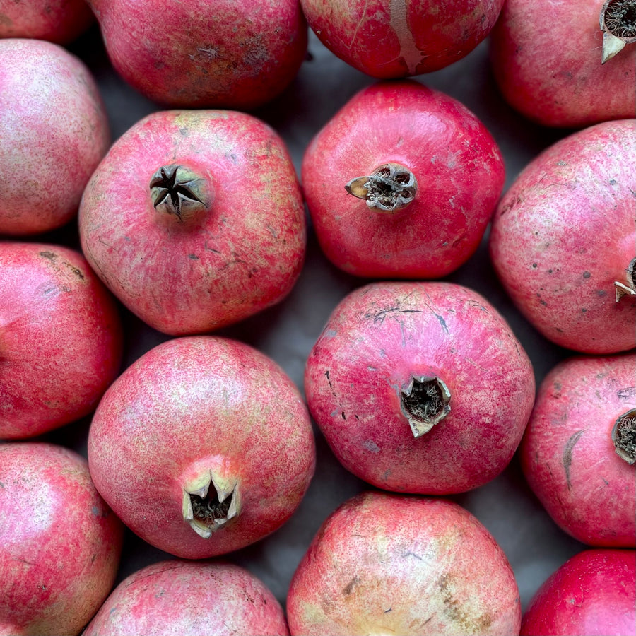 Fully Belly Pomegranate