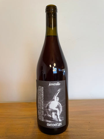 2024 Llewelyn 'Juvenilia' Red Blend