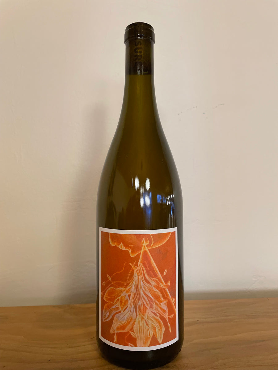 2022 Caleb Leisure ‘Mother Sees’ Skin Fermented White Blend