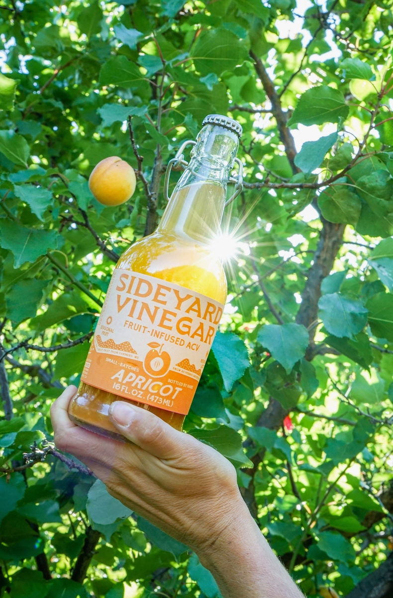 Sideyard 'Apricot' Shrub (Fruit-Infused Vinegar ACV)