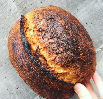 Josey Baker Country Hearth Loaf