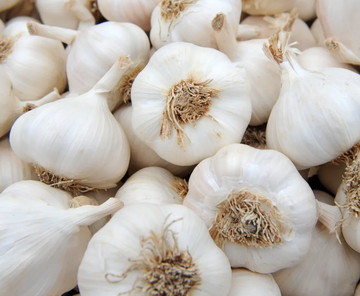 Organic Whole Colossal Garlic