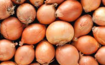 Yellow Onion