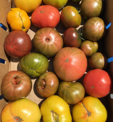 Windrift Farms Heirloom Tomatoes (Per LB)