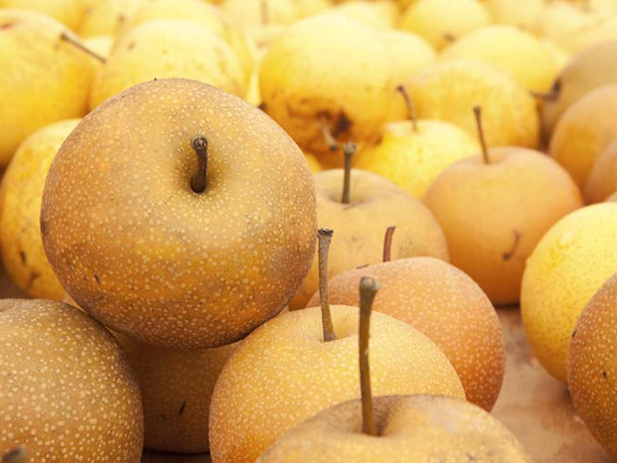 Earthseed Farm Asian Pear