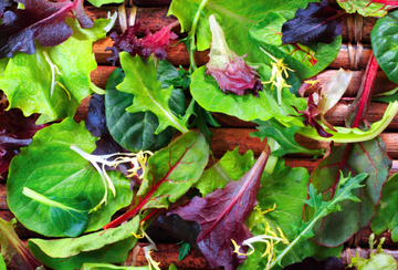 Coyote Family Farm Spring Lettuce Mix (Per LB)