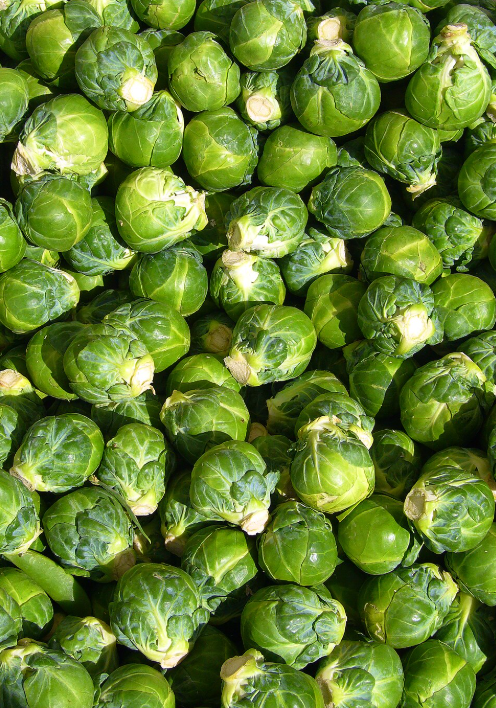 JSM Organics Brussels Sprouts (Per LB)
