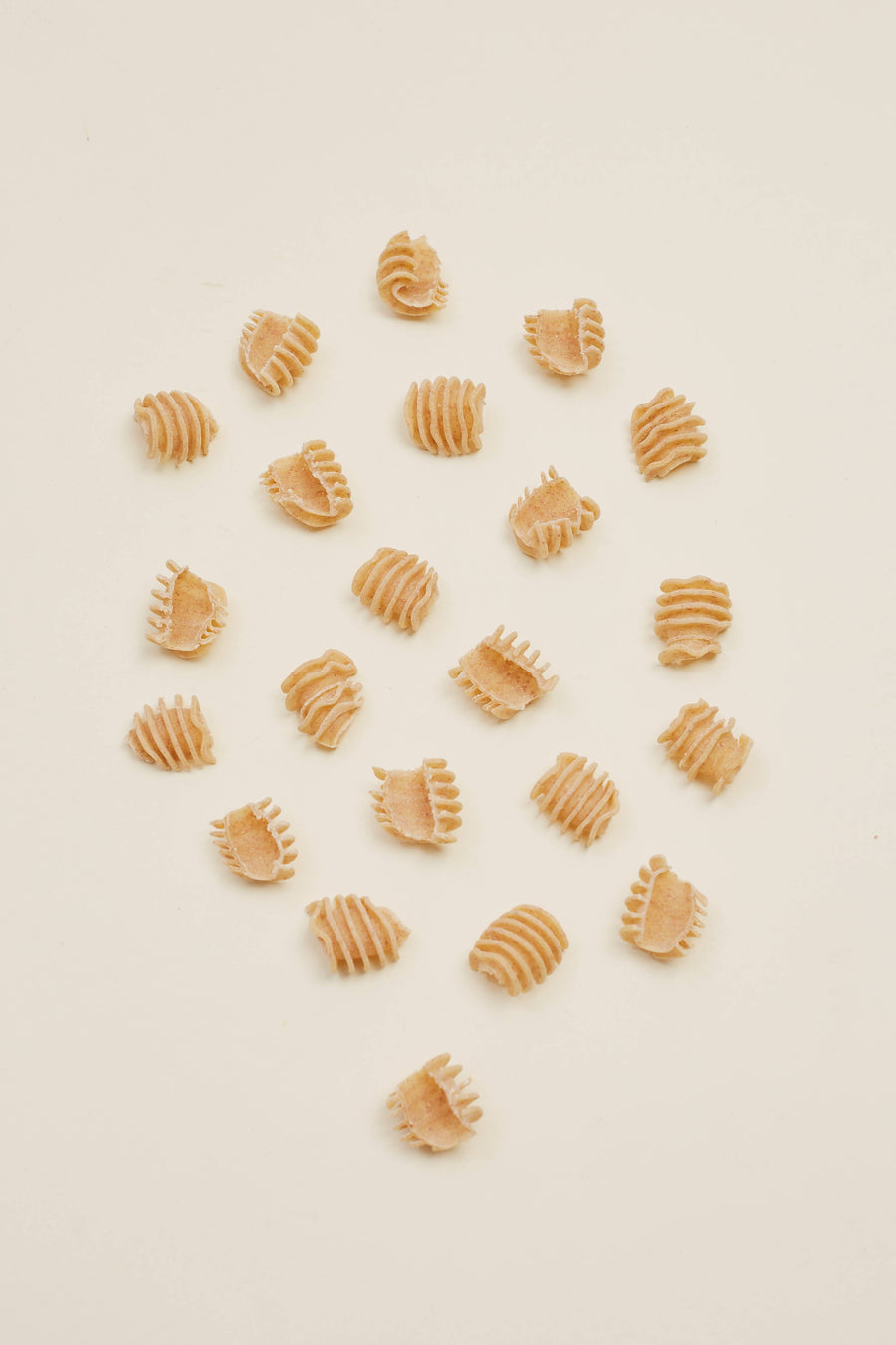 L'Isolina Regenerative Whole Grain Radiatori Pasta