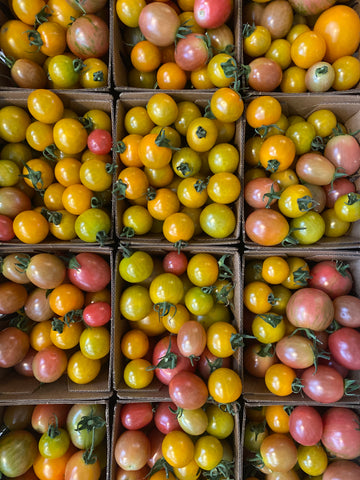 Russian River Organics Cherry Tomato Mix (1 Pint)