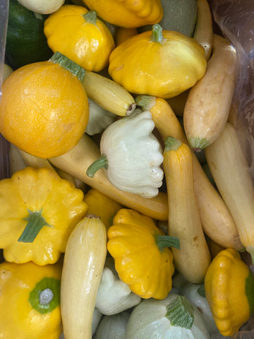 Longer Table Farm Summer Squash (LB)