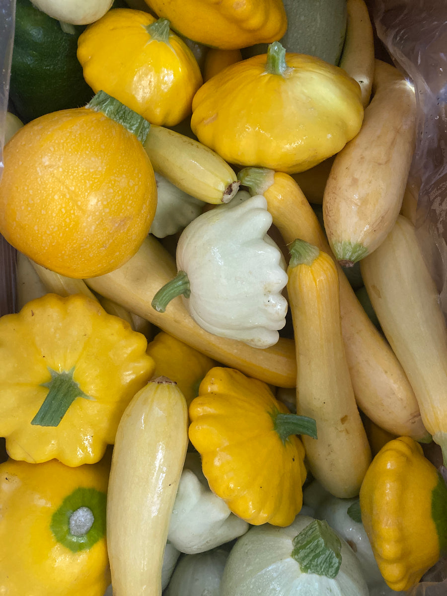 Longer Table Farm Summer Squash (LB)