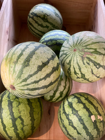 Stony Point Farm Red Seedless Watermelon