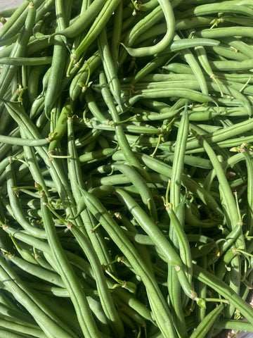 Russian River Organics Stringless Green Beans (LB)
