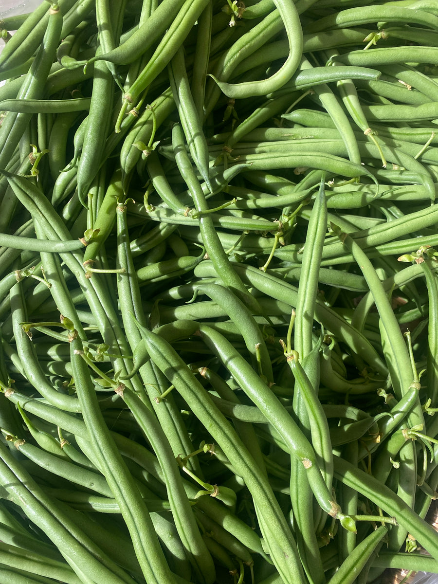 Russian River Organics Stringless Green Beans (LB)
