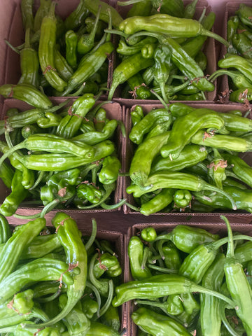Russian River Organics Shishito Peppers (Pint)
