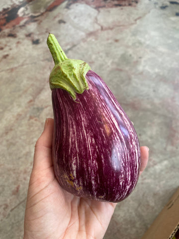 Oak Hill Farm Italian Variegated White & Purple Eggplant (Per LB)