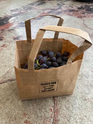Filigreen Farm Organic/Biodynamic Seedless Jupiter Grapes